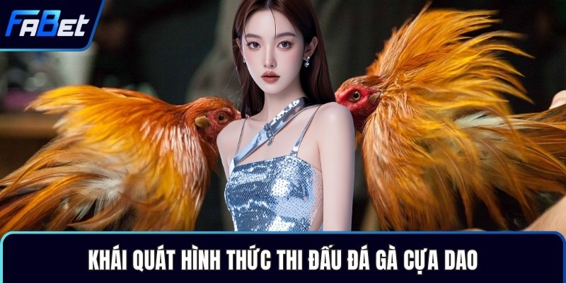 Khái quát hình thức thi đấu đá gà cựa dao