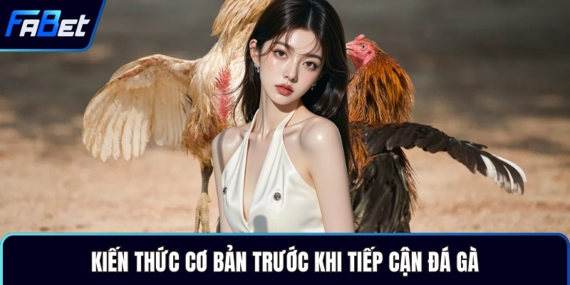 Kiến thức cơ bản trước khi tiếp cận đá gà