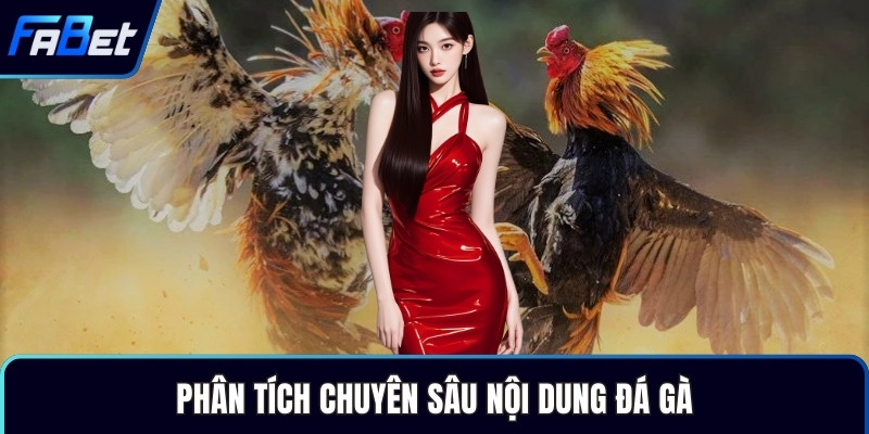Phân tích chuyên sâu nội dung đá gà